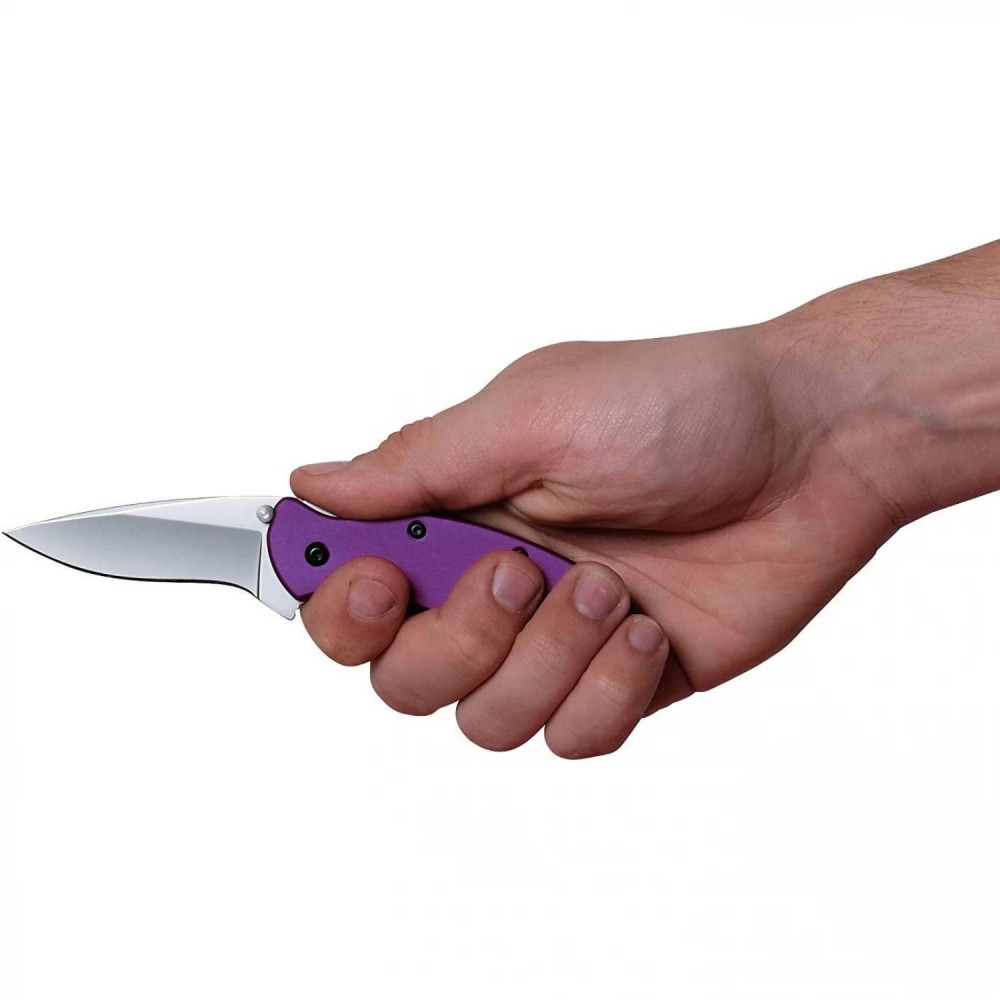 Kershaw Scallion Purple - нож складной полуавтоматический 1620PUR