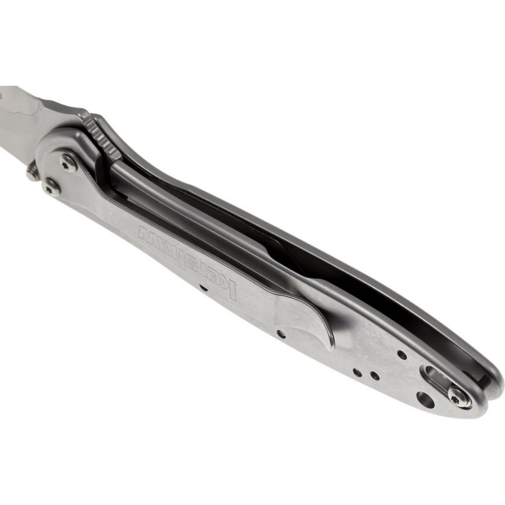Kershaw Leek - нож складной 1660CB