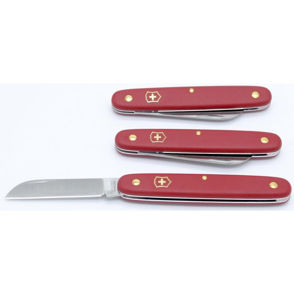 Нож перочинный Victorinox EcoLine Floral (3.9050)